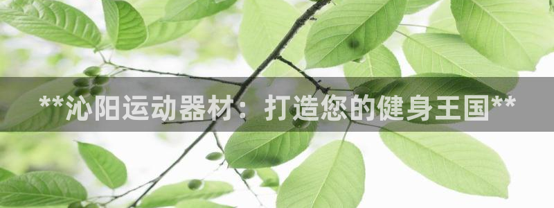 尊龙登录会员登录：**沁阳运动器材：打造您的健身王国