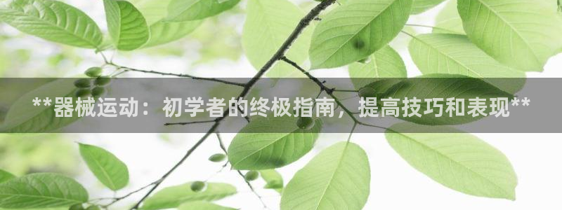 尊龙凯时最新平台登陆：**器械运动：初学者的终极指南，提高技