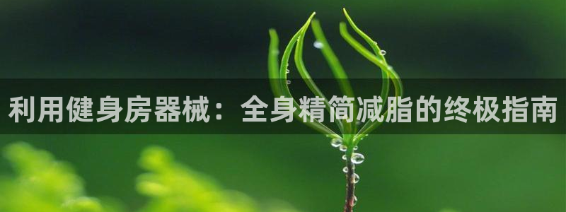 尊龙,人生就是搏：利用健身房器械：全身精简减脂的终极